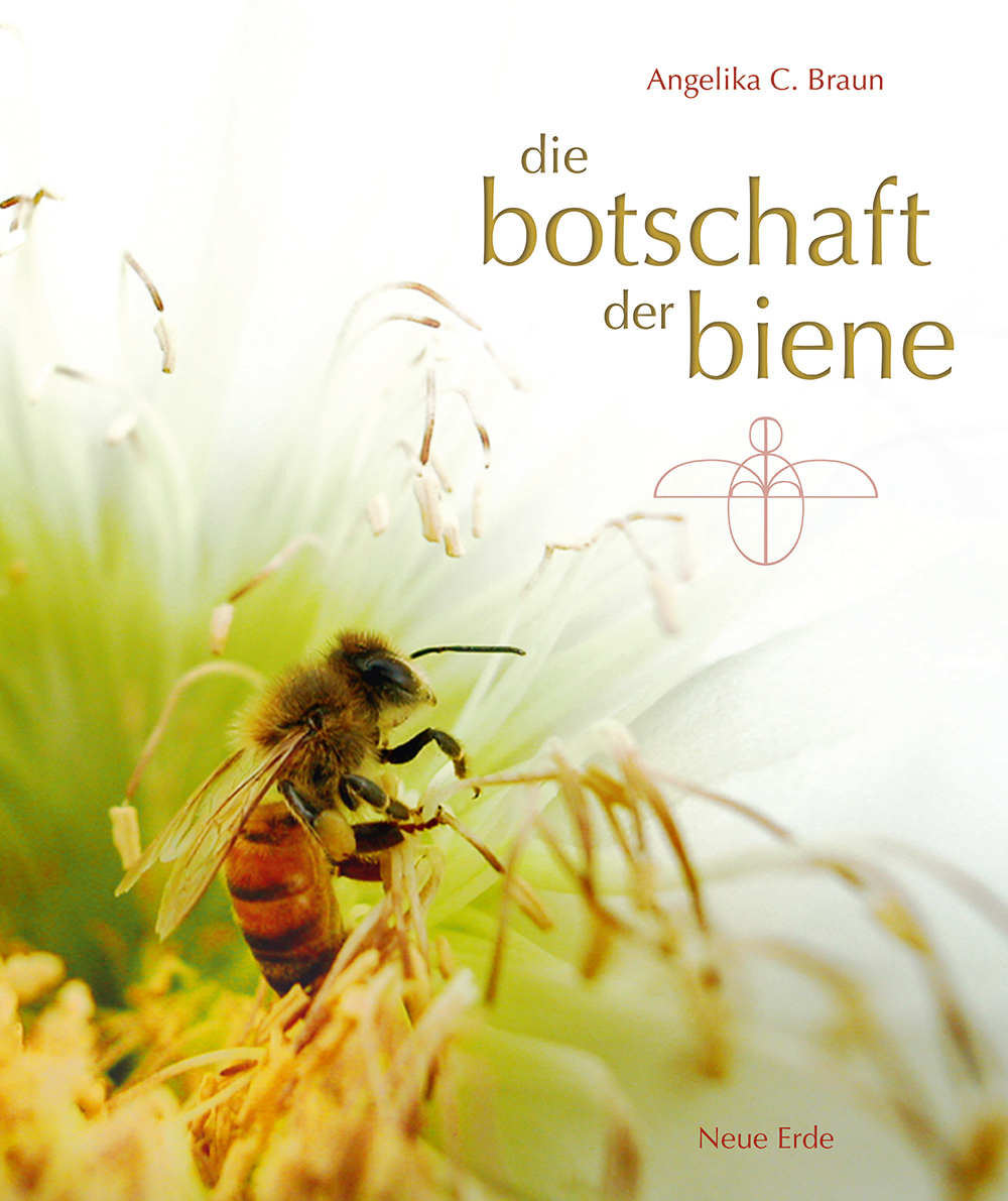 Buchcover Botschaft der Bienen