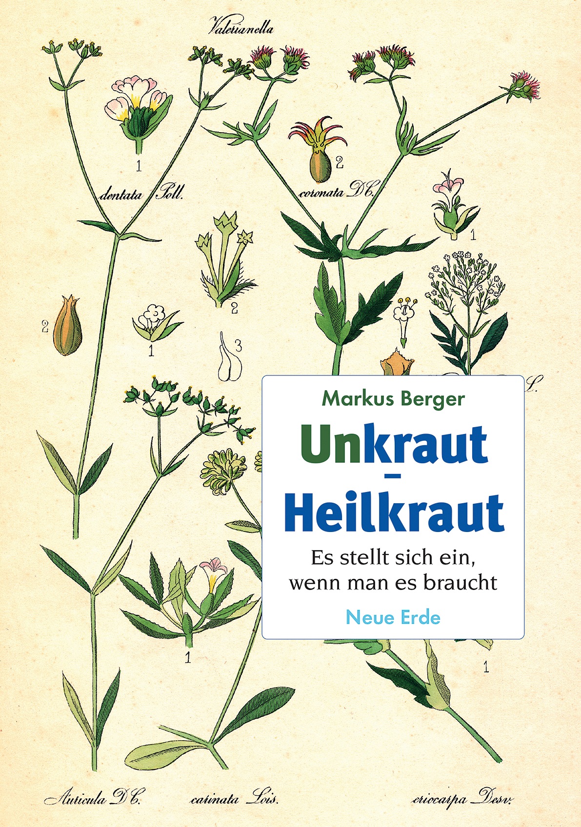 Buchcover Unkraut - Heilkraut
